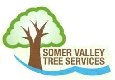 Main photo for Somer Valley Tree Services