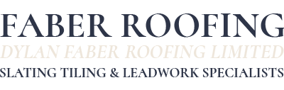 Main photo for Dylan Faber Roofing.Com