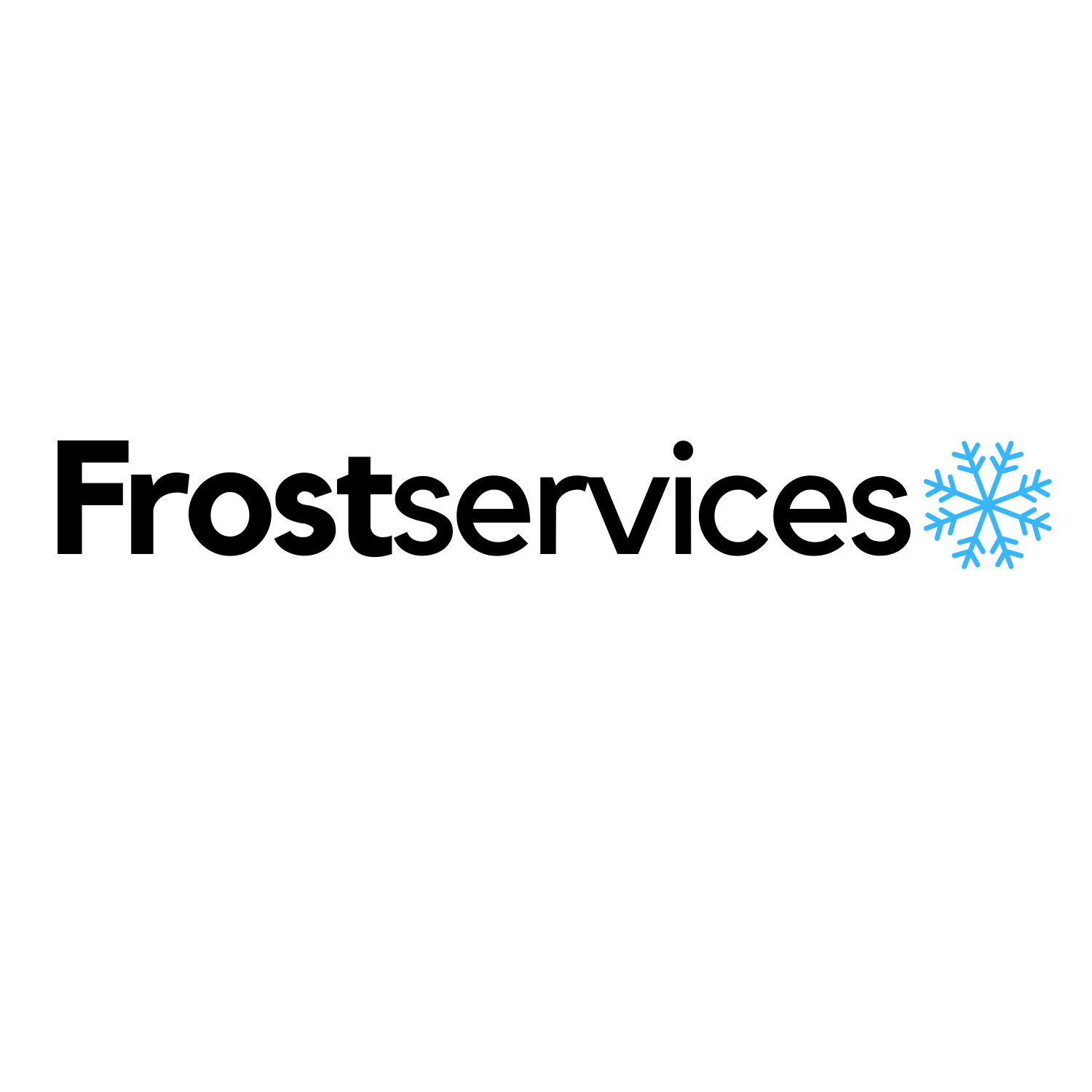 Main photo for Frost Services