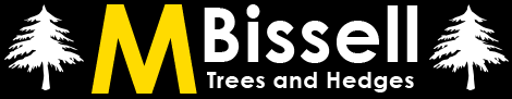 Main photo for M Bissell Tree & Hedges