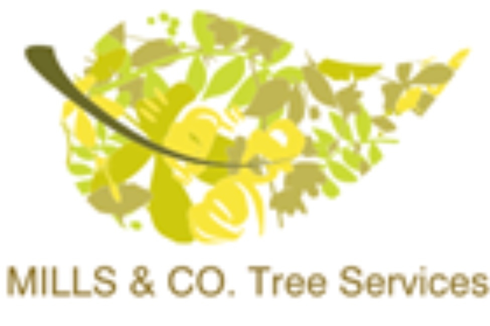 Main photo for Mills & Co. Tree Services Enfield
