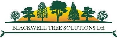 Main photo for Blackwell Tree Solutions Ltd