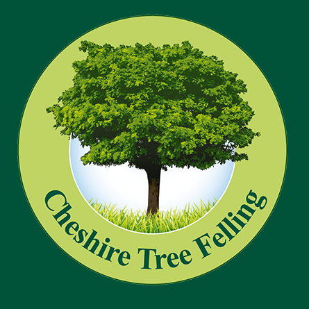 Main photo for Cheshire Stump Grinding