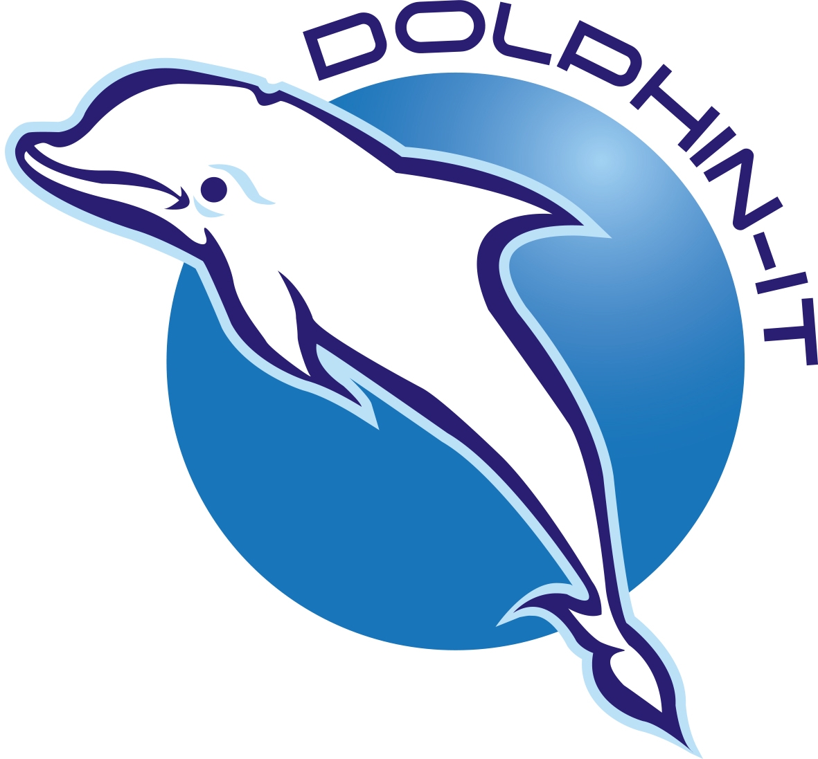 Main photo for Dolphin IT Support & Consulting Services LTD