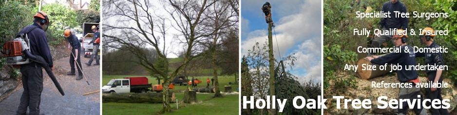Main photo for Holly Oak Tree Services