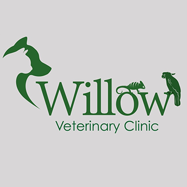 Main photo for Willow Veterinary Clinic