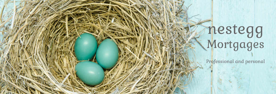 Main photo for Nest Egg Mortgages