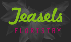 Main photo for Teasels The Florist