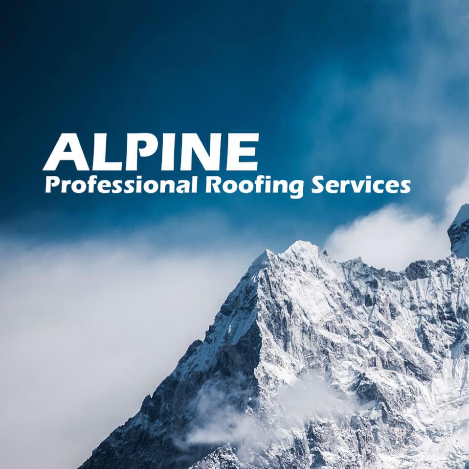 Main photo for Alpine Roofing Services
