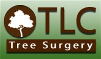 Main photo for T L C Tree Surgery