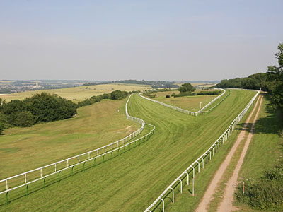 An example of the Salisbury Racecourse on the Funeral Directors in Wiltshire page on Thomson Local.