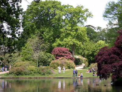 An example of Exbury Gardens, as shown on the Funeral Directors in Hampshire page on Thomson Local