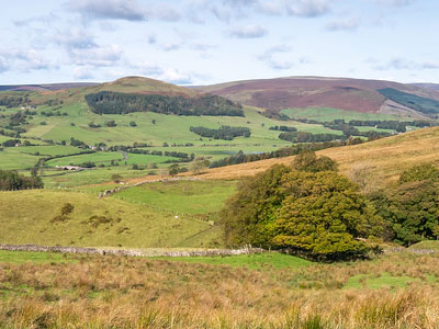 An example of Forest of Bowland on the Funeral Directors in Lancashire page on Thomson Local.